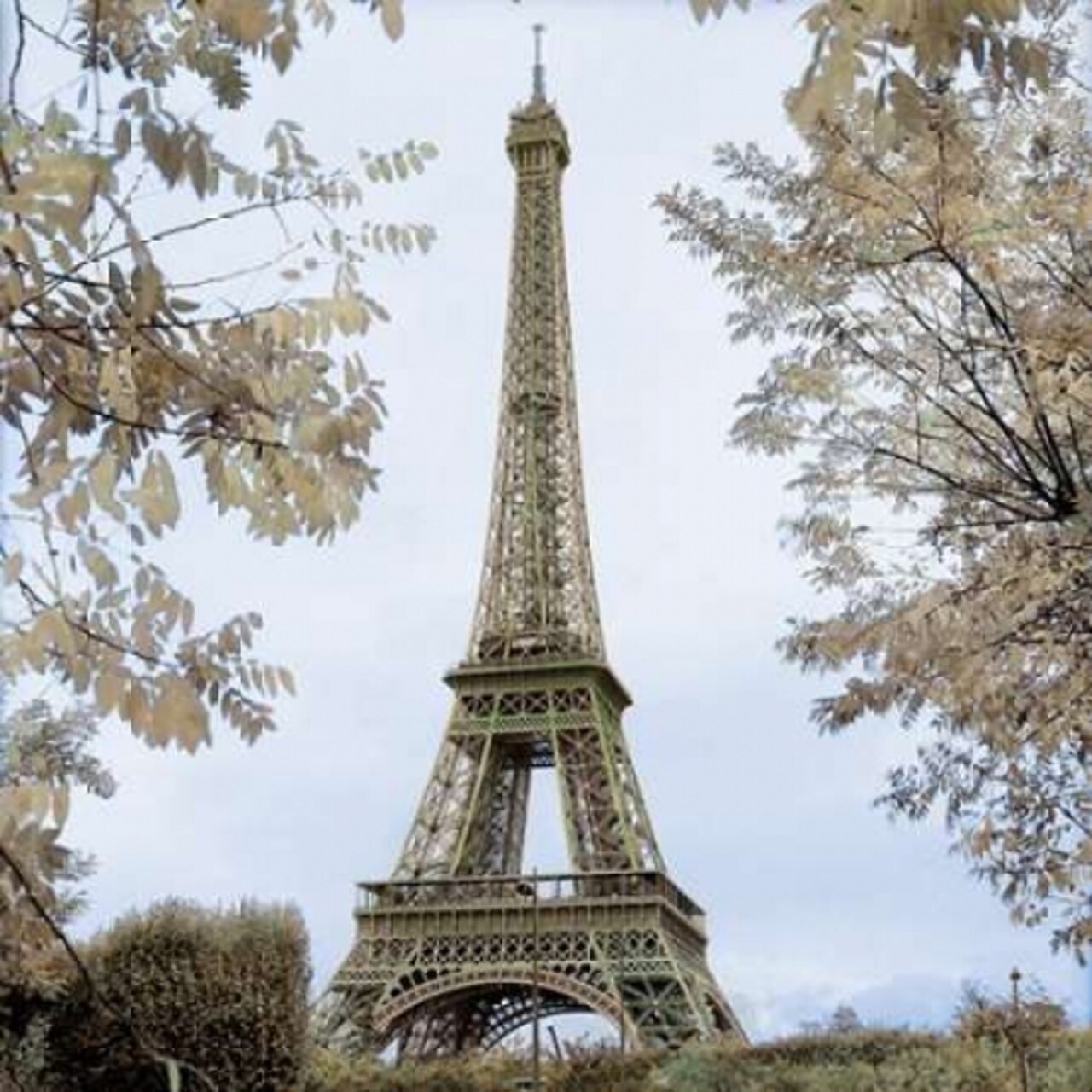 Tour Eiffel au Printemps Poster Print by Alan Blaustein - Item # VARPDXB2921D